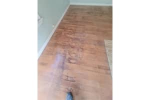 5241 67TH STREET, ST PETERSBURG, FL 33709 - MLS#MFRTB8466882