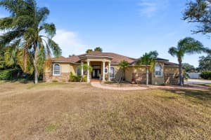 14206 MELOUGA PRESERVE TRAIL, DOVER, FL 33527 - MLS#MFRTB8466899