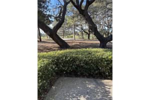 36750 US HIGHWAY 19 N #9-224, PALM HARBOR, FL 34683 - MLS#MFRTB8466902