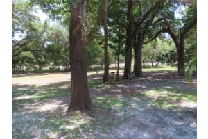 1167 MISSION CIRCLE, CLEARWATER, FL 33759 - MLS#MFRTB8466904