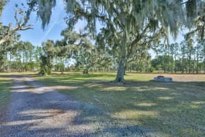 603 HALF MILE ROAD, PLANT CITY, FL 33565 - MLS#MFRTB8466911