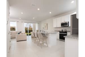 31885 ANCHOR POINT DRIVE, WESLEY CHAPEL, FL 33545 - MLS#MFRTB8466937