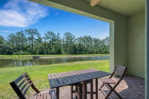 20459 BERRYWOOD LANE, TAMPA, FL 33647 - MLS#MFRTB8466941