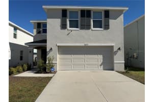 12072 Downy Birch Dr, RIVERVIEW