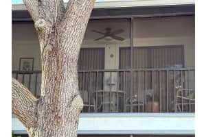 3241 FOX CHASE CIRCLE N #204, PALM HARBOR, FL 34683 - MLS#MFRTB8466950