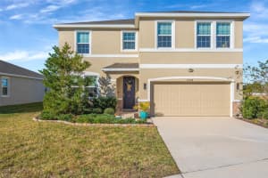 16638 MOONER PLANK CIRCLE, WIMAUMA, FL 33598 - MLS#MFRTB8466958