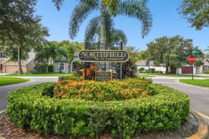4320 AUSTON WAY, PALM HARBOR, FL 34685 - MLS#MFRTB8467004