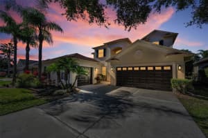 3033 STONEGATE FALLS DRIVE, LAND O LAKES, FL 34638 - MLS#MFRTB8467017
