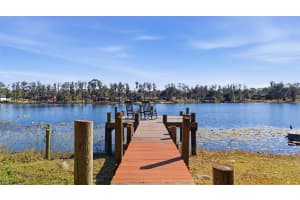 9214 RHEA DRIVE, ODESSA, FL 33556 - MLS#MFRTB8467021