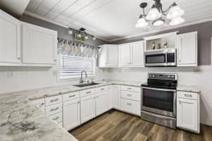 33137 CERCELIA ROAD, DADE CITY, FL 33523 - MLS#MFRTB8467036