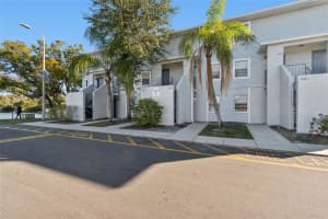 7015 WATERSIDE DRIVE, TAMPA, FL 33617 - MLS#MFRTB8467052