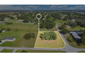 401 CHERRY TREE DRIVE, SEBRING, FL 33876 - MLS#MFRTB8467061