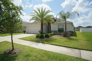 12337 BALLENTRAE FOREST DRIVE, RIVERVIEW, FL 33579 - MLS#MFRTB8467077
