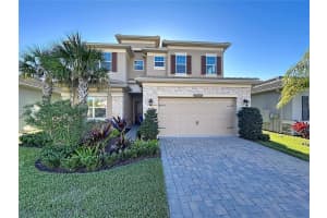 32801 Tree Of Life Ave, WESLEY CHAPEL 32801 Tree Of Life Ave, WESLEY CHAPEL
