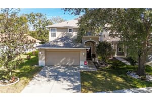 7942 Endless Summer Ct, LAND O LAKES