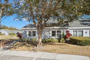 1414 CADHAY COURT, SAFETY HARBOR, FL 34695 - MLS#MFRTB8467160