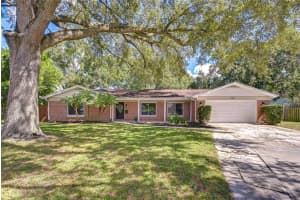 1901 Little Cv, TAMPA