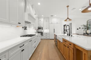 4103 ZELAR STREET, TAMPA, FL 33629 - MLS#MFRTB8467195