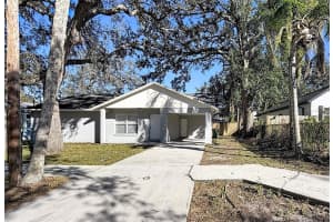 8717 DEXTER AVENUE, TAMPA, FL 33604 - MLS#MFRTB8467230