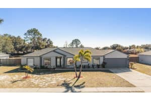 12004 COLONIAL ESTATES LANE, RIVERVIEW, FL 33579 - MLS#MFRTB8467255