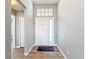 10411 HUNTERS HAVEN BOULEVARD, RIVERVIEW, FL 33578 - MLS#MFRTB8467284