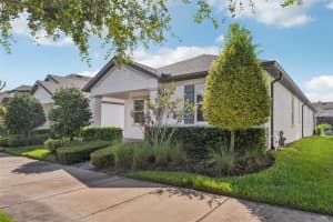 3982 NIGHT STAR TRAIL, ODESSA, FL 33556 - MLS#MFRTB8467317