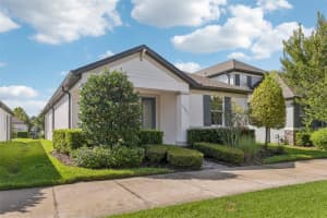 3982 NIGHT STAR TRAIL, ODESSA, FL 33556 - MLS#MFRTB8467317