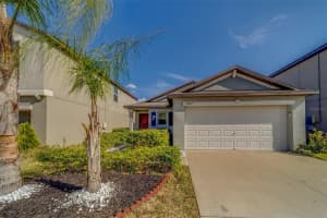 10222 COOL WATERLILY AVENUE, RIVERVIEW, FL 33578 - MLS#MFRTB8467324