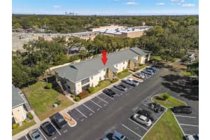 3001 58TH AVENUE, ST PETERSBURG, FL 33712 - MLS#MFRTB8467330