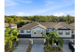 1370 WHITE FOX RUN, LUTZ, FL 33549 - MLS#MFRTB8467345