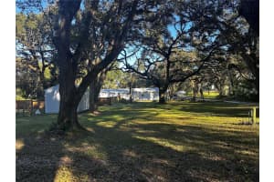 7029 FORBES ROAD, ZEPHYRHILLS, FL 33540 - MLS#MFRTB8467350