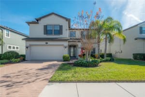 19326 LONG LAKE RANCH BOULEVARD, LUTZ, FL 33558 - MLS#MFRTB8467357