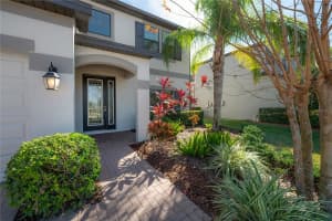 19326 LONG LAKE RANCH BOULEVARD, LUTZ, FL 33558 - MLS#MFRTB8467357