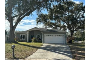 231 MORGAN COURT, PALM HARBOR, FL 34684 - MLS#MFRTB8467366
