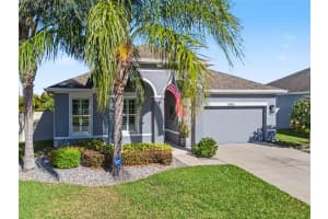 11906 Greenchop Pl, RIVERVIEW 11906 Greenchop Pl, RIVERVIEW