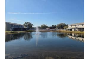 12668 CASTLE HILL DRIVE, TAMPA, FL 33624 - MLS#MFRTB8467397