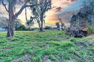 9323 RIPLEY ROAD, THONOTOSASSA, FL 33592 - MLS#MFRTB8467448