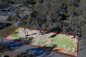 9323 RIPLEY ROAD, THONOTOSASSA, FL 33592 - MLS#MFRTB8467448