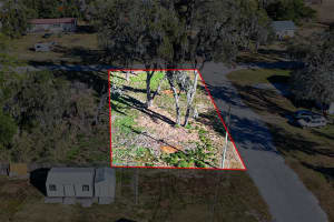 9323 RIPLEY ROAD, THONOTOSASSA, FL 33592 - MLS#MFRTB8467448