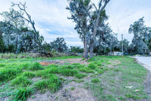 9323 RIPLEY ROAD, THONOTOSASSA, FL 33592 - MLS#MFRTB8467448