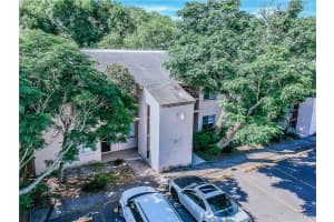 7537 PITCH PINE CIRCLE, TAMPA, FL 33617 - MLS#MFRTB8467457