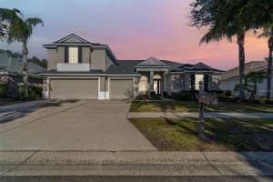 8210 NATURE COVE WAY, TAMPA, FL 33647 - MLS#MFRTB8467480