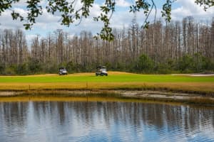 20520 HOMOSSASA COURT, LAND O LAKES, FL 34637 - MLS#MFRTB8467488
