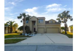11016 HOLLY CONE DRIVE, RIVERVIEW, FL 33569 - MLS#MFRTB8467495