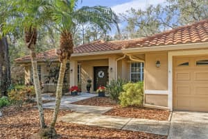 1362 LAKE WOODLANDS PARKWAY, OLDSMAR, FL 34677 - MLS#MFRTB8467569