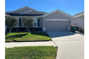 10647 Heron Hideaway Loop, LAND O LAKES