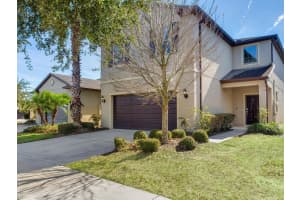 8306 RED SPRUCE AVENUE, RIVERVIEW, FL 33578 - MLS#MFRTB8467601