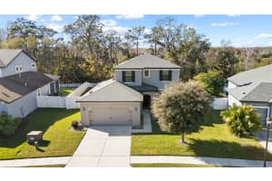 19852 LONESOME PINE DRIVE, LAND O LAKES, FL 34638 - MLS#MFRTB8467609