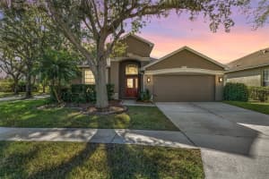 8425 Fenwick Ave, TAMPA 8425 Fenwick Ave, TAMPA