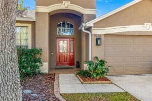 8425 FENWICK AVENUE, TAMPA, FL 33647 - MLS#MFRTB8467624